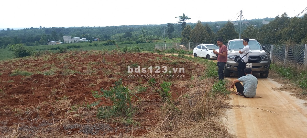 Bán 2 sào Đất đỏ Bazan khu vực trái cây FULL sầu riêng chôm chôm
