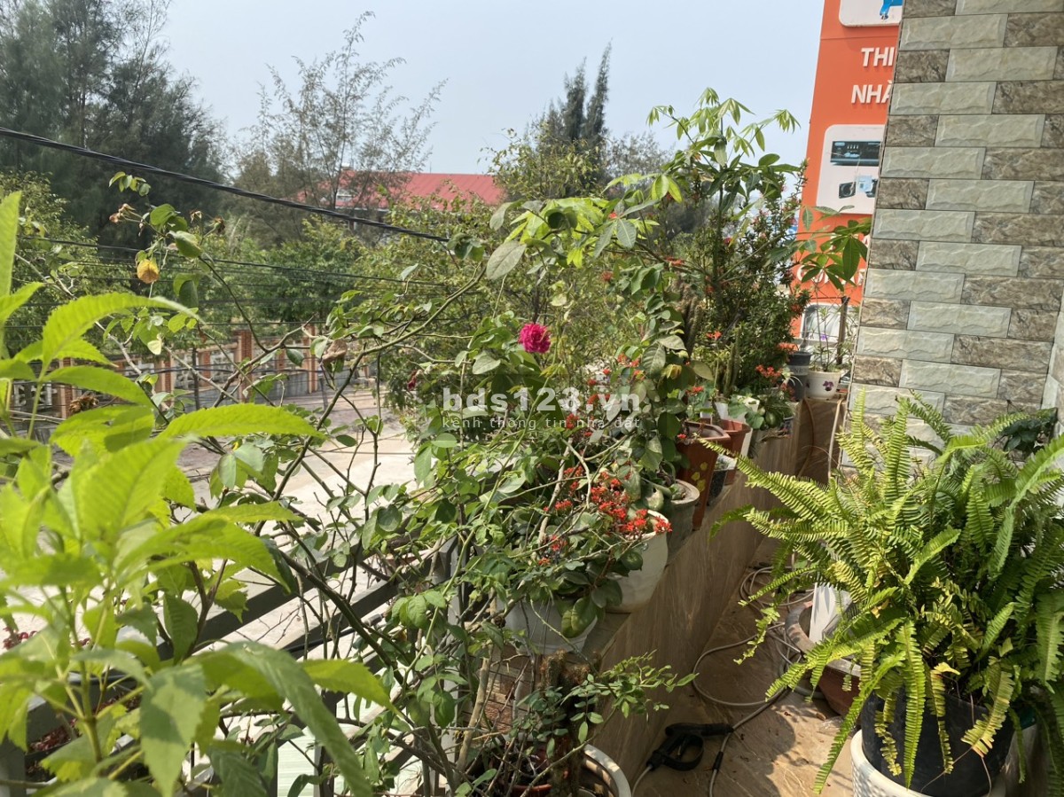 Bán nhà 10m x 20m x 3 tầng, nhà ở kinh doanh và nuôi yến đang cho thu nhập