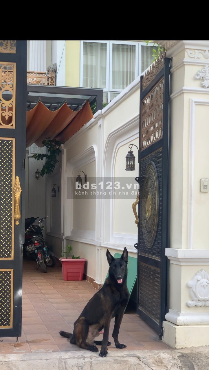 Nhà sổ hồng chính chủ, gia đình có công việc cần bán gấp 12.5 tỷ.....