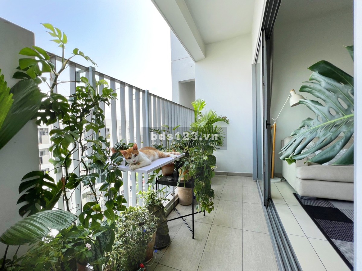 Bán căn hộ Hausneo 1PN có sổ hồng giá tốt nhật