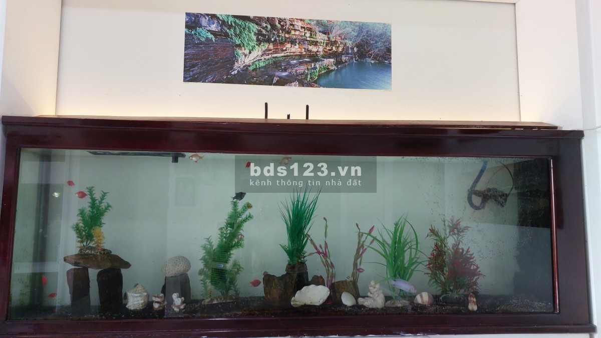 Bán gấp căn hộ Conic ĐNA chính chủ, DT 74m², full nội thất, giá 1,72 tỷ