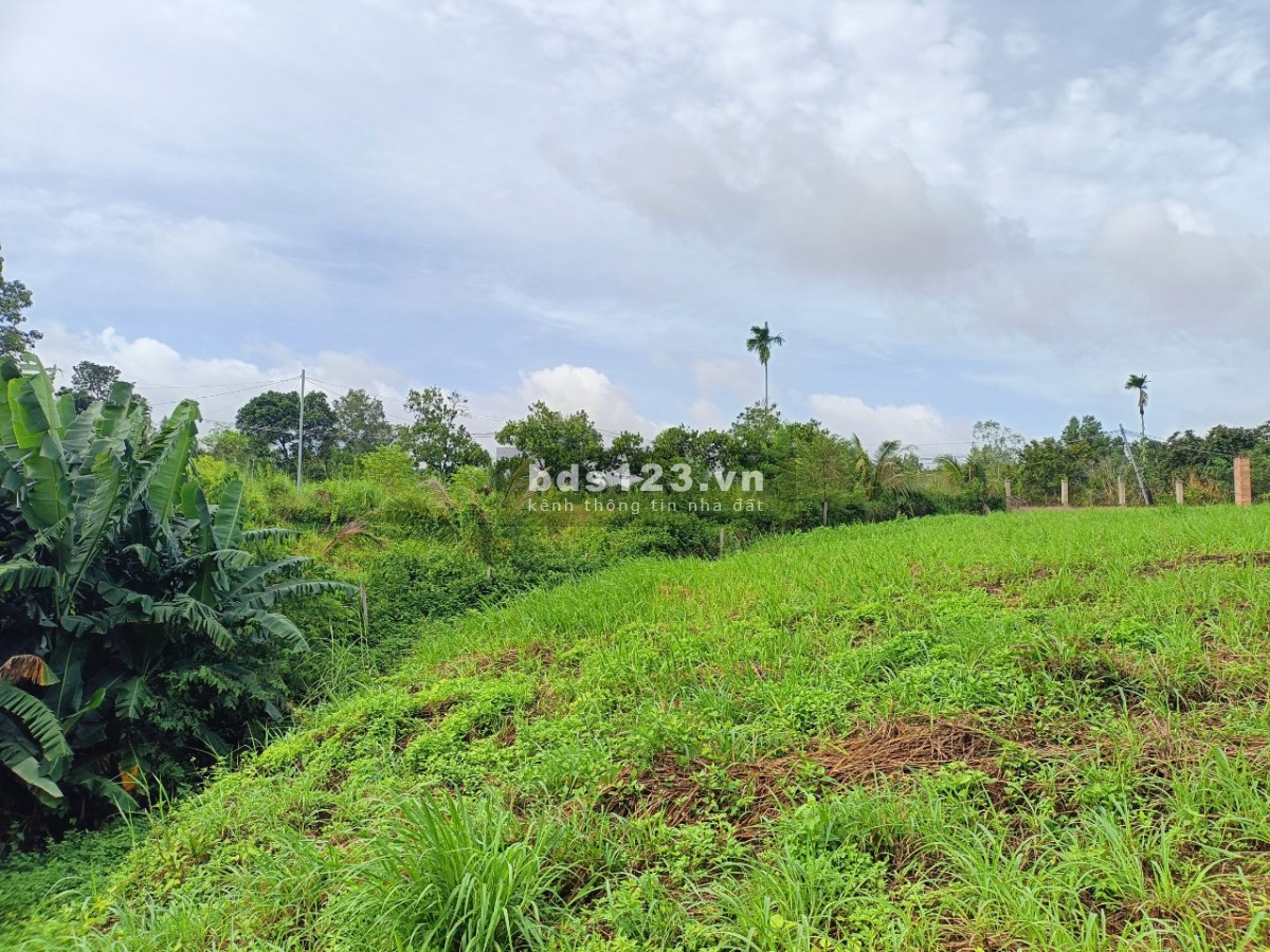 Sông ray cần bán 4 sào hơn view suối nghỉ dưỡng.
