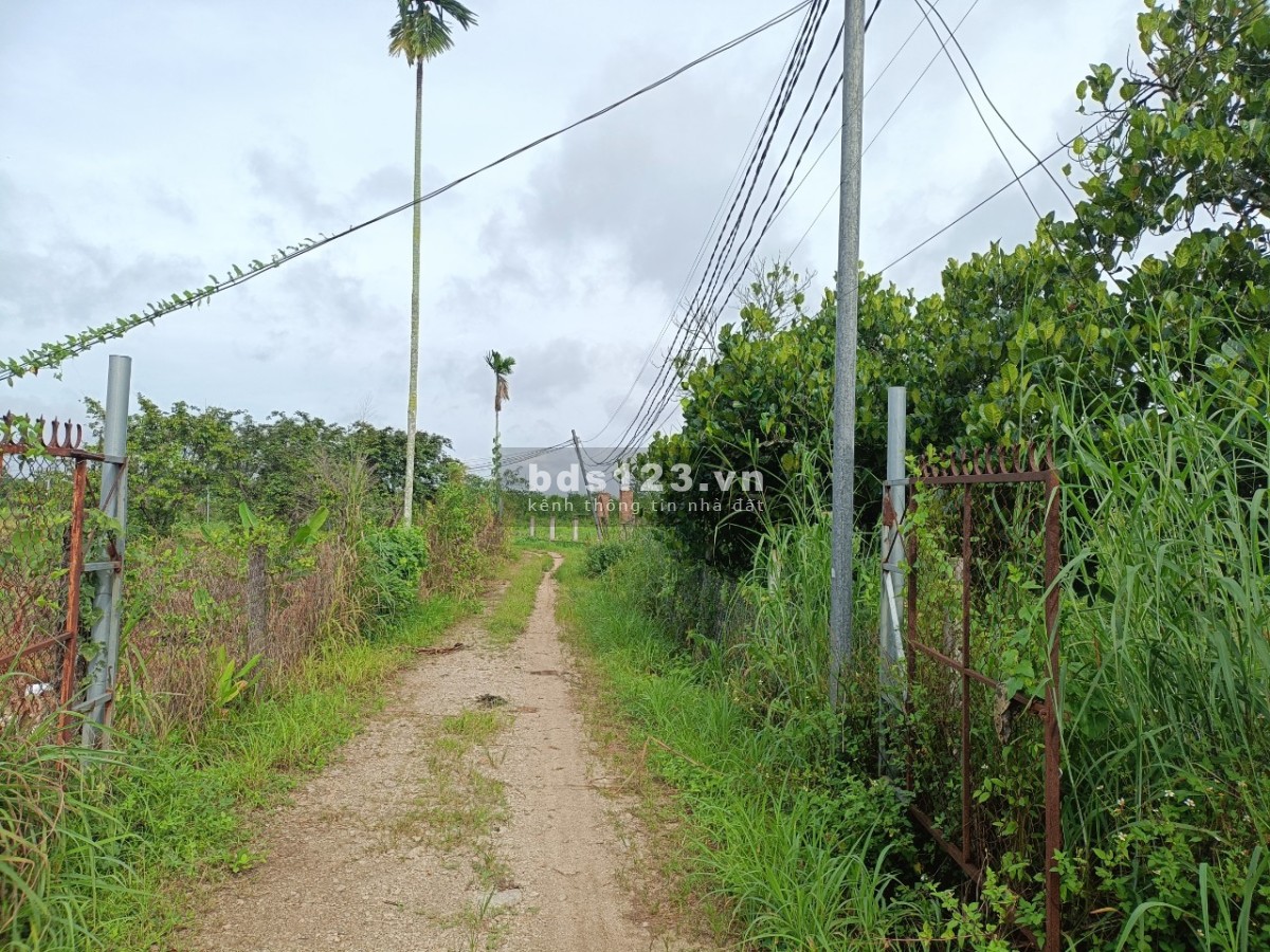 Sông ray cần bán 4 sào hơn view suối nghỉ dưỡng.