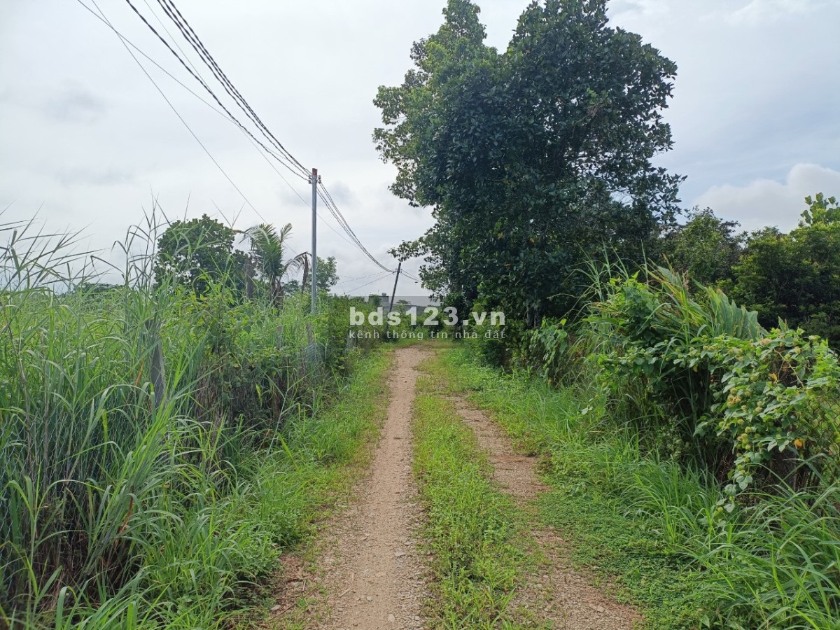 Sông ray cần bán 4 sào hơn view suối nghỉ dưỡng.
