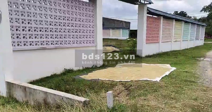 Đất rẽ Đức Hòa Long An 315m đất full thổ góc 2mt đường giá chỉ 950tr