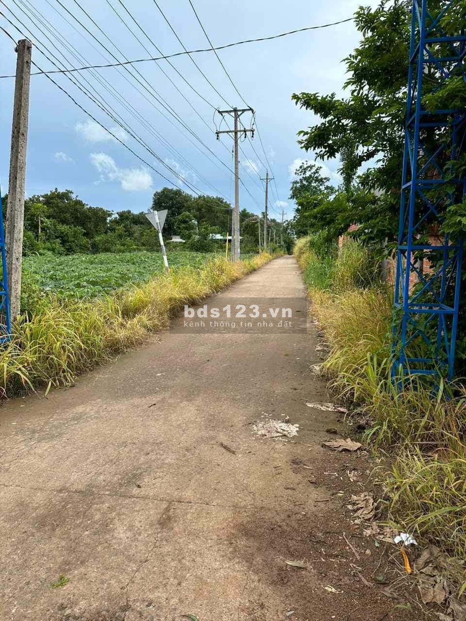 Bán đất ngay xã Xuân Tây, diện tích 1000m² bê tông giá tốt