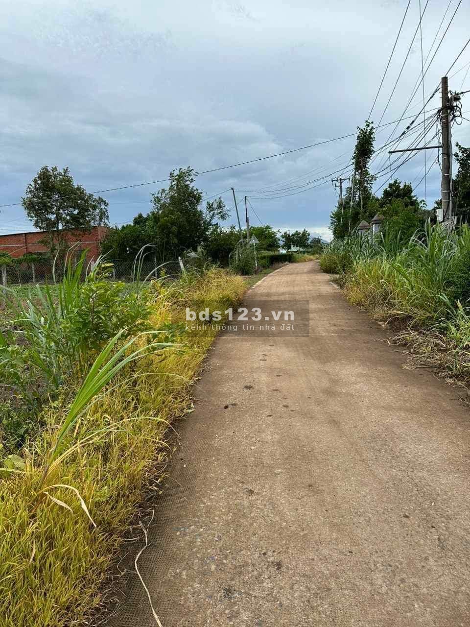 Bán đất ngay xã Xuân Tây, diện tích 1000m² bê tông giá tốt