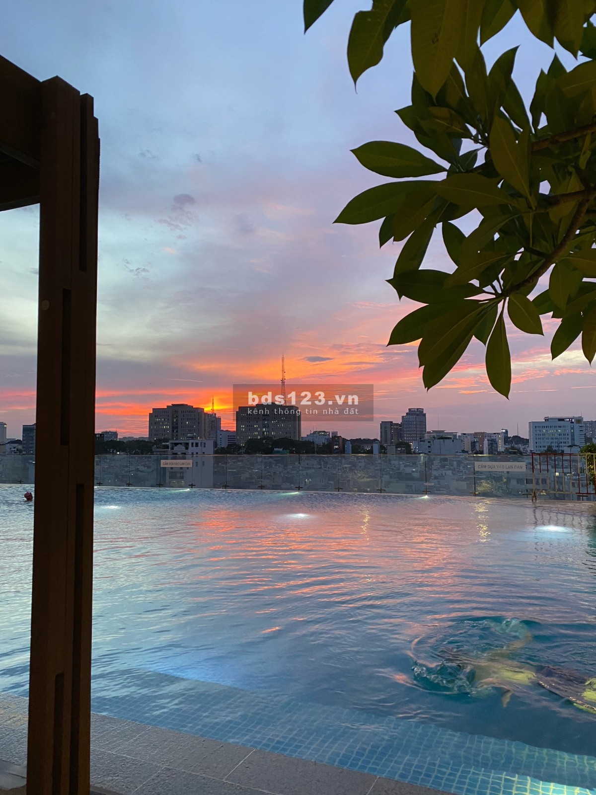 Dream Homestay( Dorm, Sleepbox quận 4)