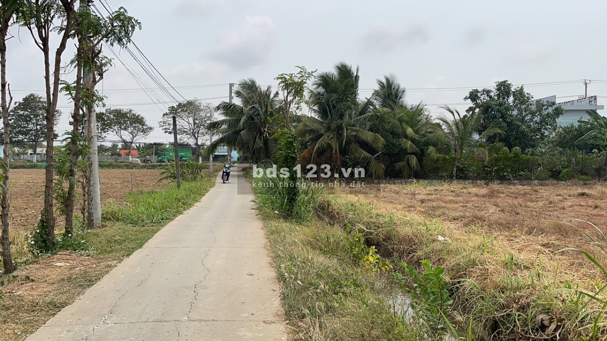 bán (15x37) 556m2 đất thổ, đường ôtô sát bên TL862 tại Gò Công Đông, Tiền Giang