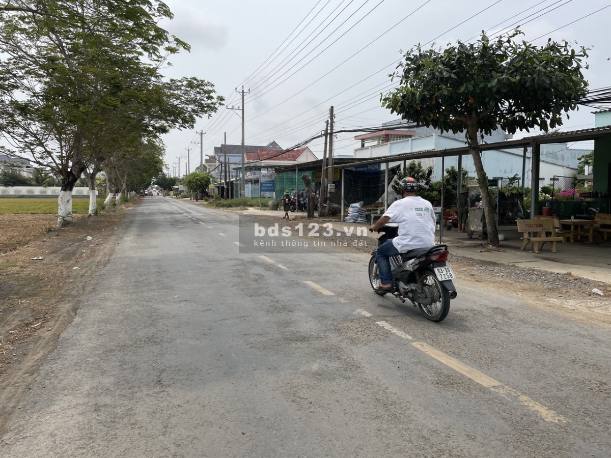 bán (15x37) 556m2 đất thổ, đường ôtô sát bên TL862 tại Gò Công Đông, Tiền Giang