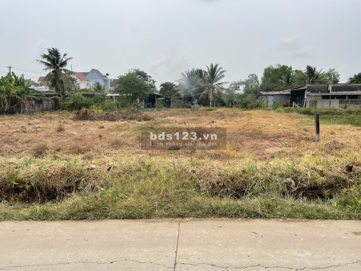 bán (15x37) 556m2 đất thổ, đường ôtô sát bên TL862 tại Gò Công Đông, Tiền Giang
