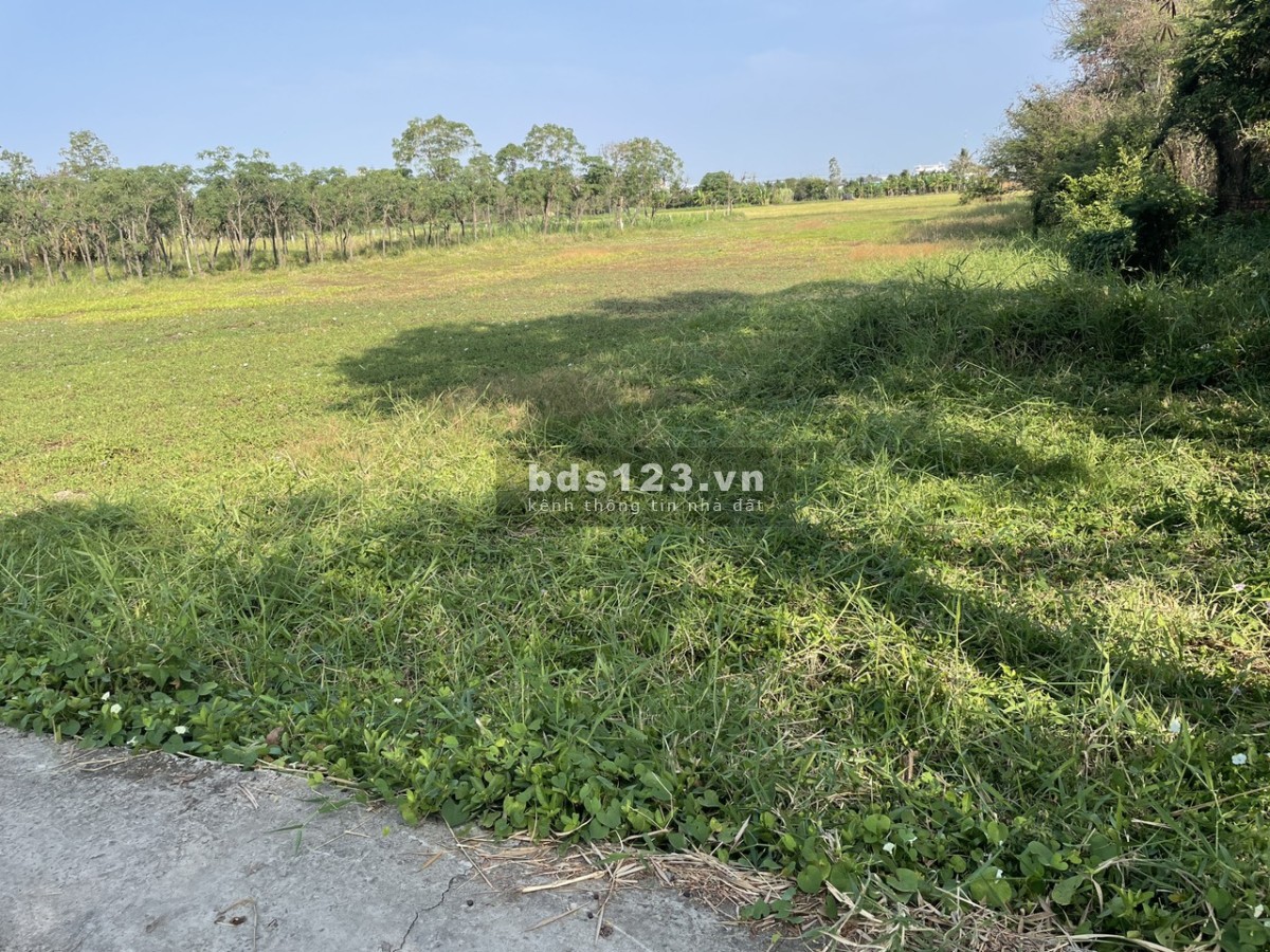 Bán 2000m2 đất cây, có 500m2 thổ tại P. Long Hòa, TP Gò Công, Tiền Giang