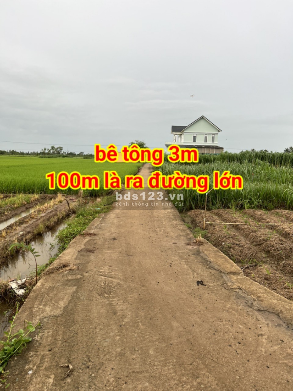 Bán 3.2 công đất view nhà vườn nghỉ dưỡng tại Gò Công Tây, Tiền Giang giá rẻ