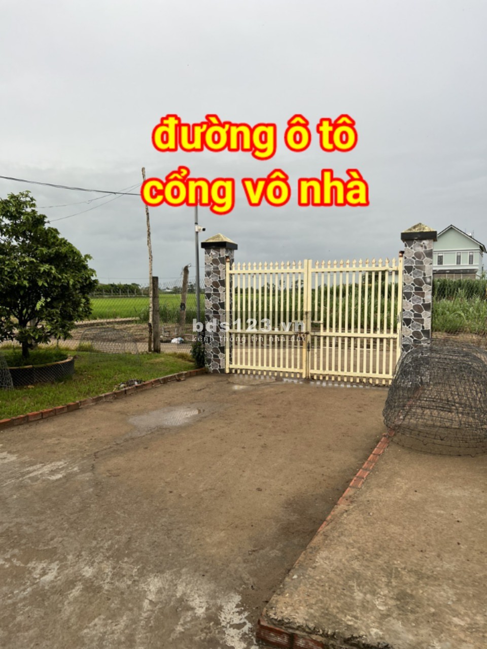 Bán 3.2 công đất view nhà vườn nghỉ dưỡng tại Gò Công Tây, Tiền Giang giá rẻ