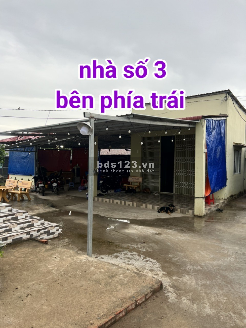 Bán 3.2 công đất view nhà vườn nghỉ dưỡng tại Gò Công Tây, Tiền Giang giá rẻ