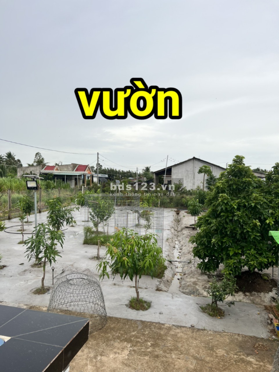 Bán 3.2 công đất view nhà vườn nghỉ dưỡng tại Gò Công Tây, Tiền Giang giá rẻ