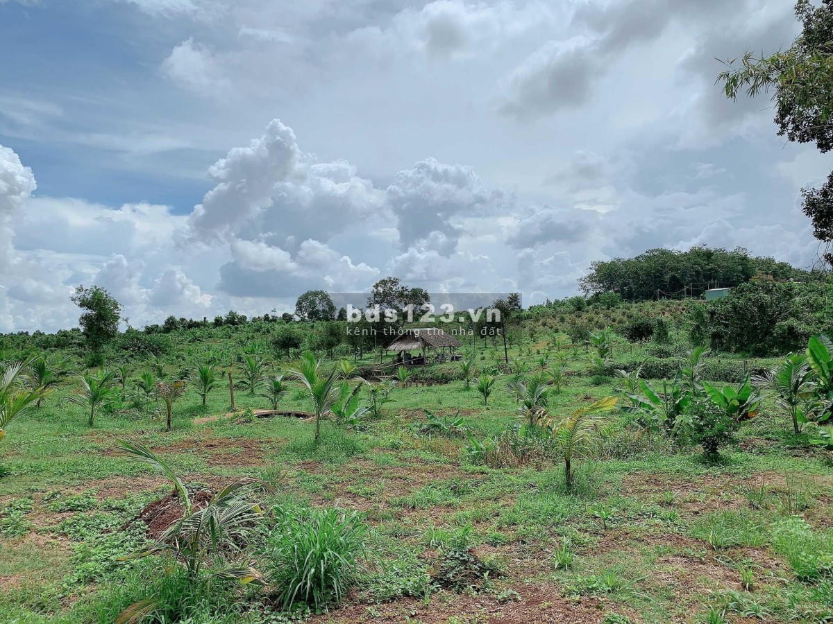 Bán lô 800m2 Sông Xoài, Phú Mỹ, Gần đường lớn, cách VT 40km 7.56 tỷ