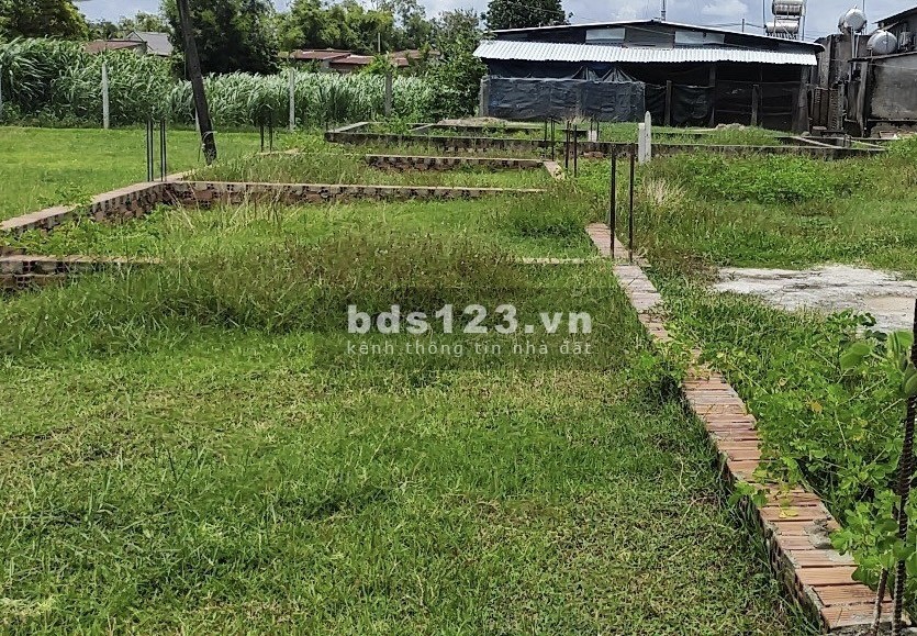 Bán ngộp lô đất full thổ cư 315m, giá chỉ từ 900 tại Tân Mỹ, Đức Hòa, Long An, có thương lượng