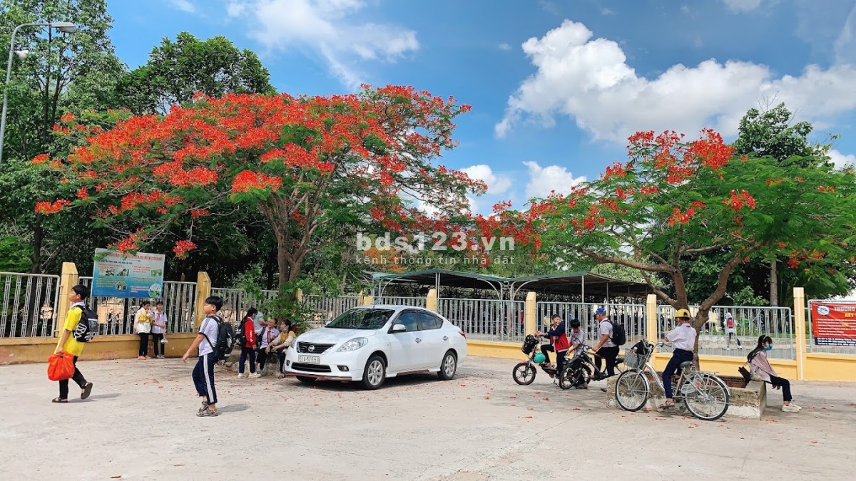 Tôi bán lô đất 7.5m x 20m, 150m2, ngay khu Chợ Bến Cát sầm uất, gần trường C2