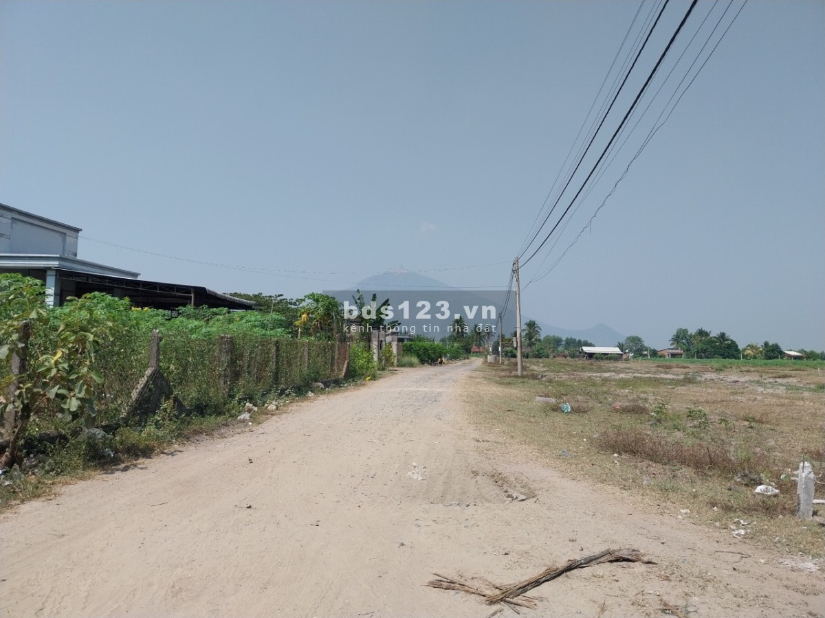 Đất 2 lô tại Suối Đá Dương Minh Châu, Tây Ninh, DT rộng 5x30m, giá 550 triệu, full thổ cư