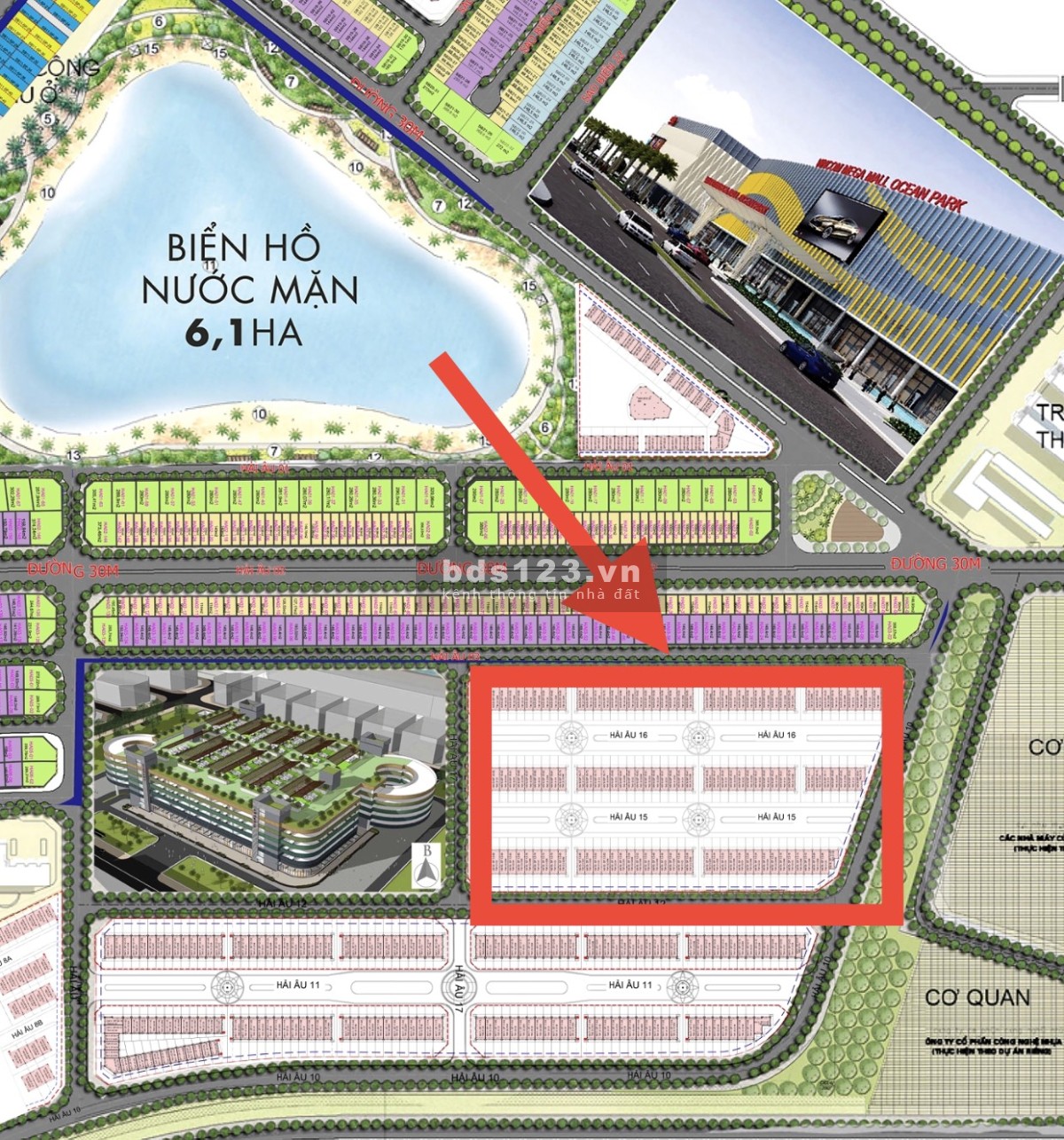 Bán căn Shophouse 5 tầng Hải Âu 16 dự án Vinhomes Ocean Park Gia Lâm, DT 155m², giá 12 tỷ