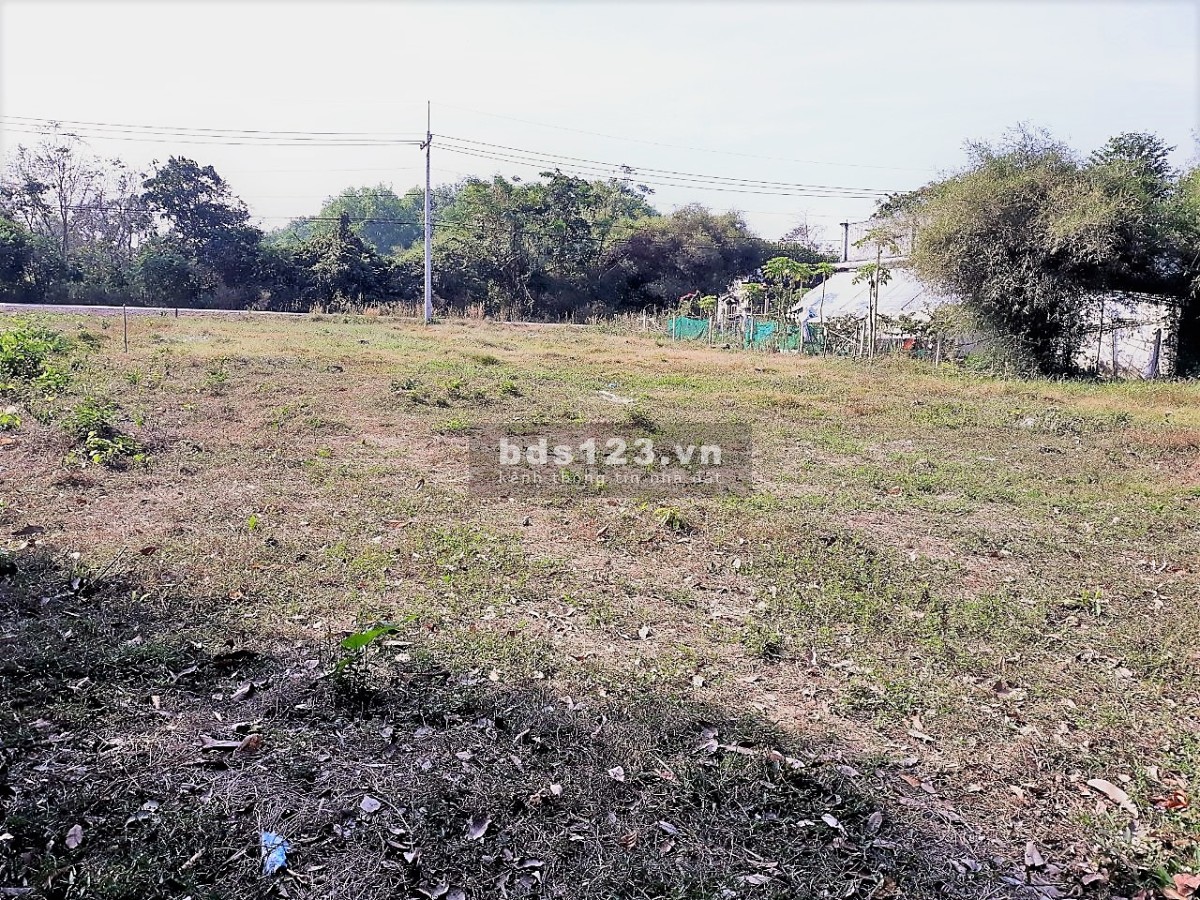 Bán 1150m2 đất mặt tiền đường Bà Thiên xã Nhuận Đức h Củ Chi