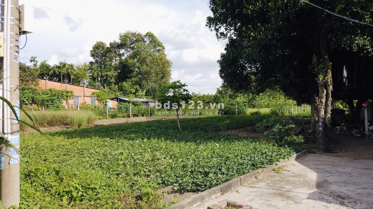 Bán đất ngay Khu Công Nghiệp Phước Đông, Một Xẹt DT782,169m2,Sổ Riêng
