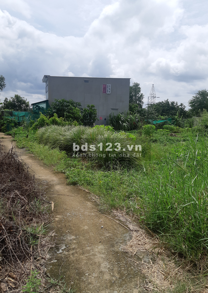 Đất thổ cư, 110m2, gần chợ Phước Lại - Em chính chủ cần bán lô đất để lấy vợ.