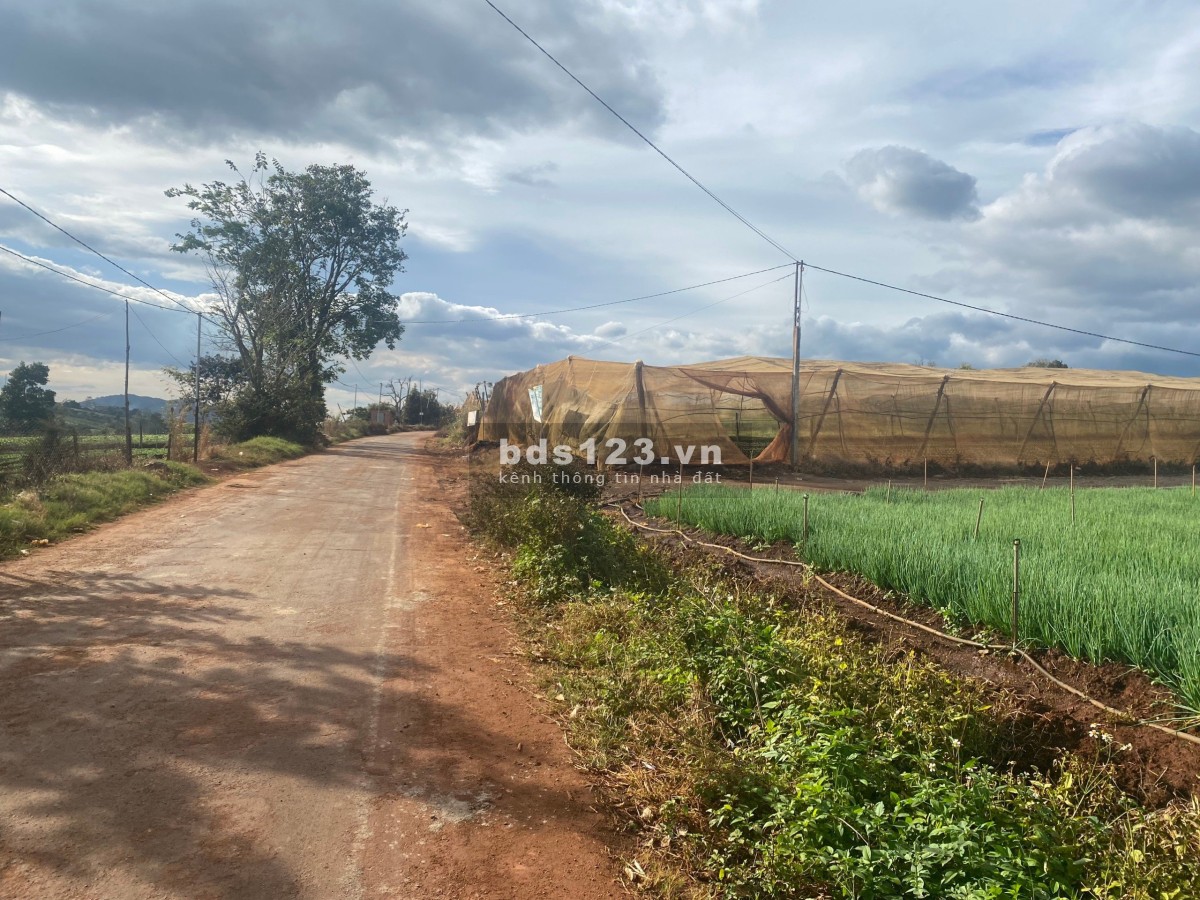 Bán đất ngộp giá rẻ hơn thị trường