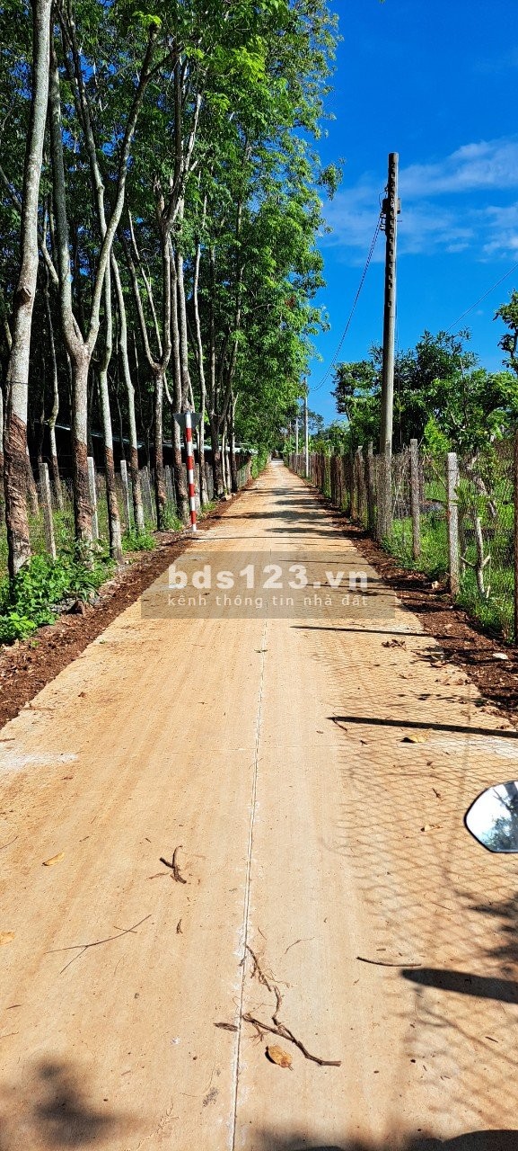 Cần bán nhanh lô đất diện tích 8 x 47m (có 50m2 thổ cư)