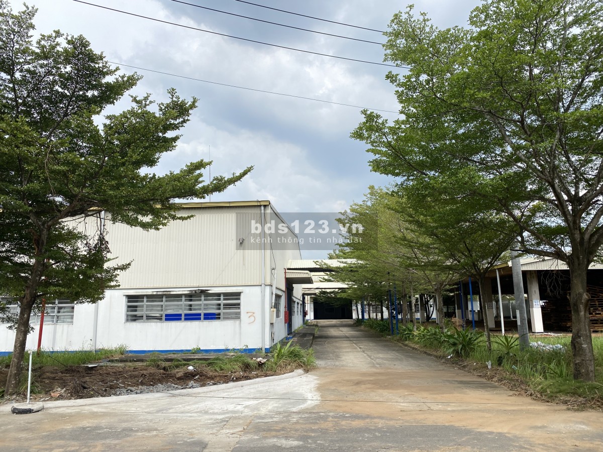 Cho thuê nhà xưởng - Long An - nhiều diện tích lựa chọn