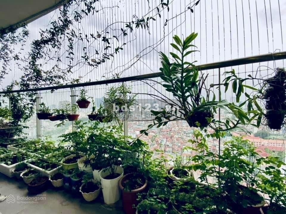 Bán gấp 2 căn hộ tại Tràng An 2PN 92m2 và 3PN 95m2 giá 5 tỷ, full đồ, sổ đỏ liền tay