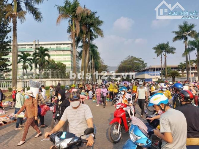 Bán 1144m² đất sào sẵn 75m² thổ cư, sổ sẵn sát Quốc lộ 13, ngay chợ đông đúc, giá rẻ chỉ 879 triệu