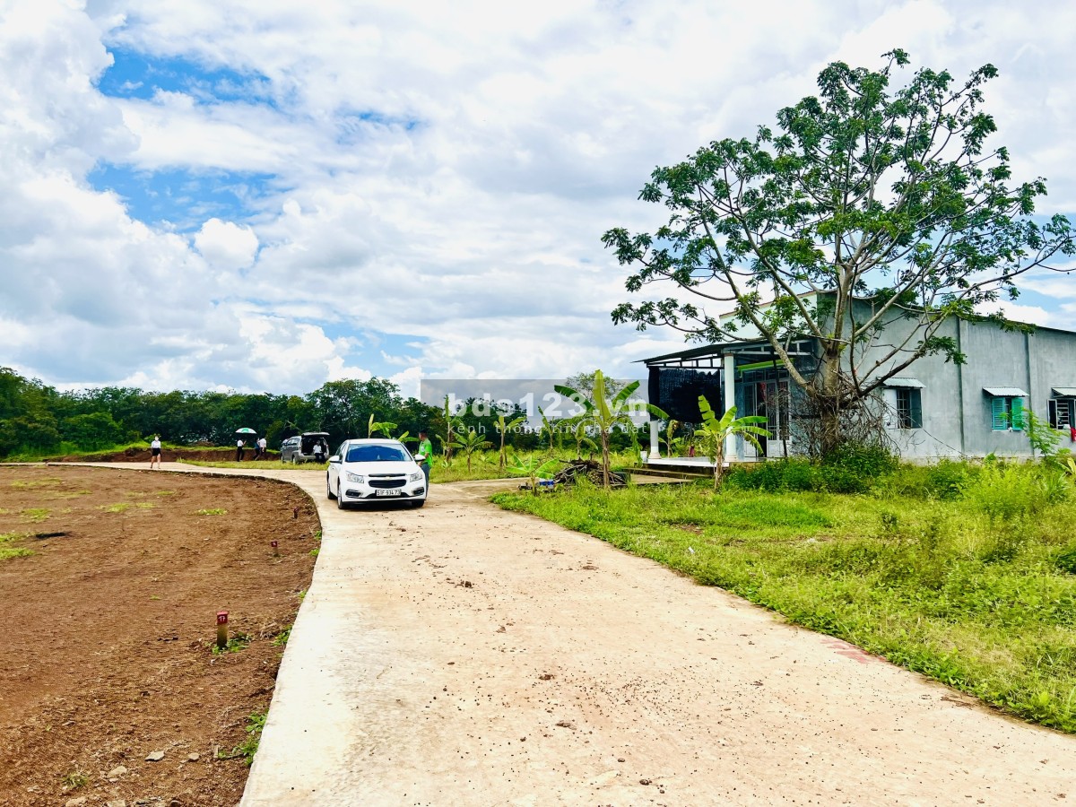 Bán 1144m² đất sào sẵn 75m² thổ cư, sổ sẵn sát Quốc lộ 13, ngay chợ đông đúc, giá rẻ chỉ 879 triệu