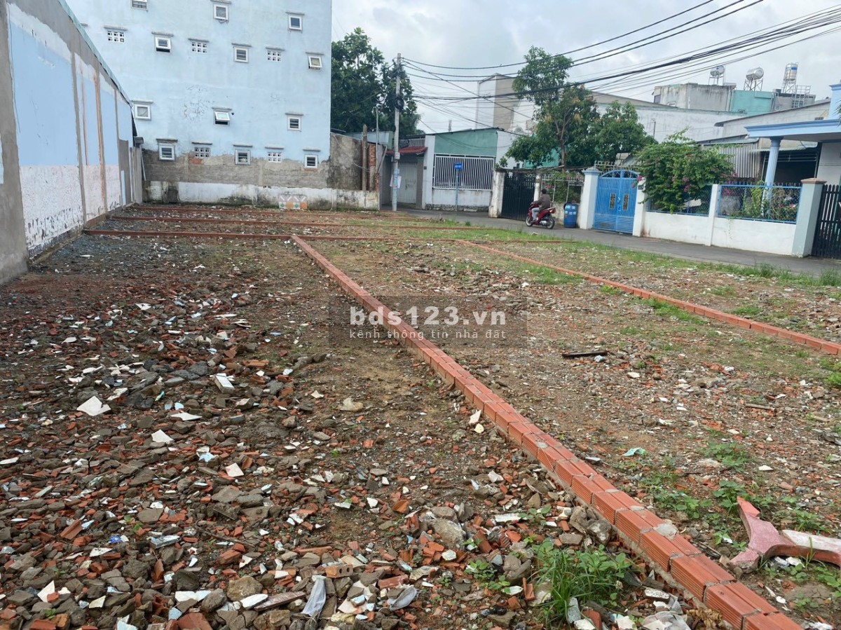 Bán đất sỉ và lẻ 6 lô đất đường 138, Hoàng Hữu Nam, Phường Tân Phú, Tp Thủ Đức (Quận 9 cũ)