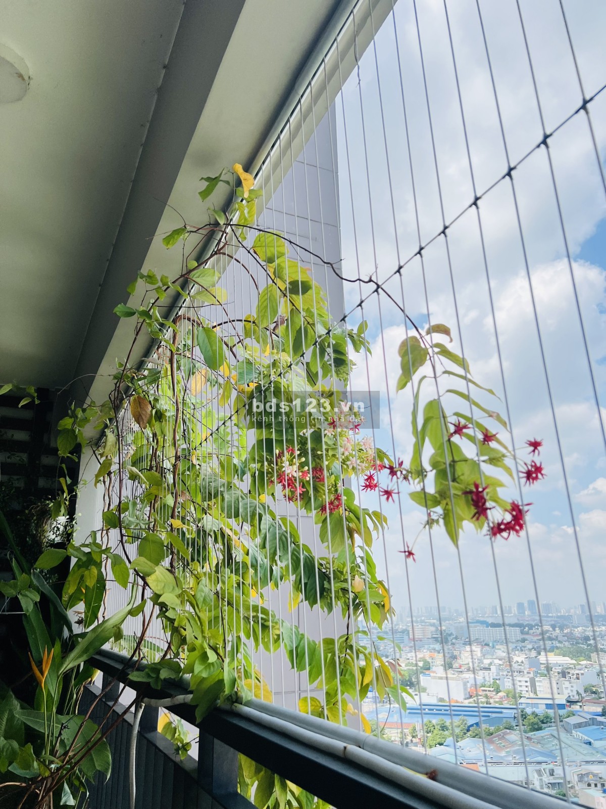 Cho thuê OPB tầng đẹp căn hộ 3 phòng ngủ, 109m2