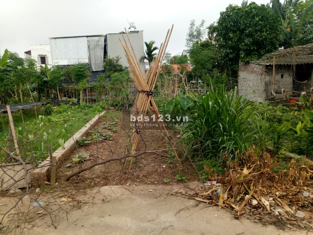Chính chủ cần bán đất thôn 3, Vạn Phúc, Thanh Trì, SĐCCC
