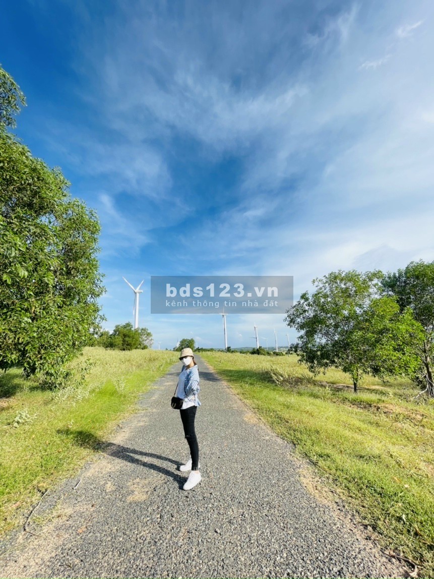 Chính chủ cần bán gấp lô đất_ 5000m2, đất Trang trại, View biển_Giá 350k m2