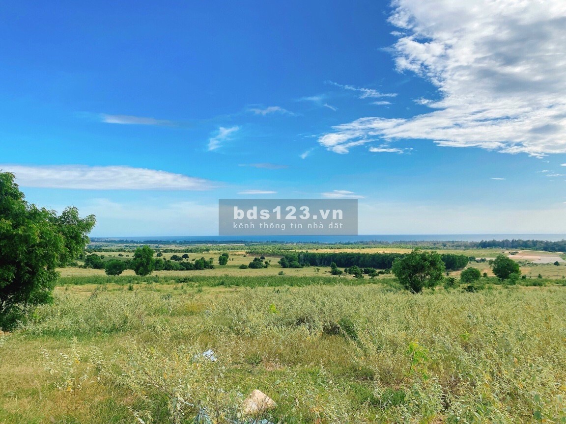 Chính chủ cần bán gấp lô đất_ 5000m2, đất Trang trại, View biển_Giá 350k m2