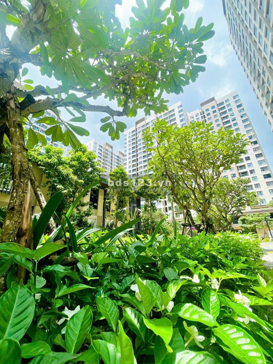 Bán căn hộ Akari City Bình Tân giá gốc chủ đầu tư trả góp dài hạn