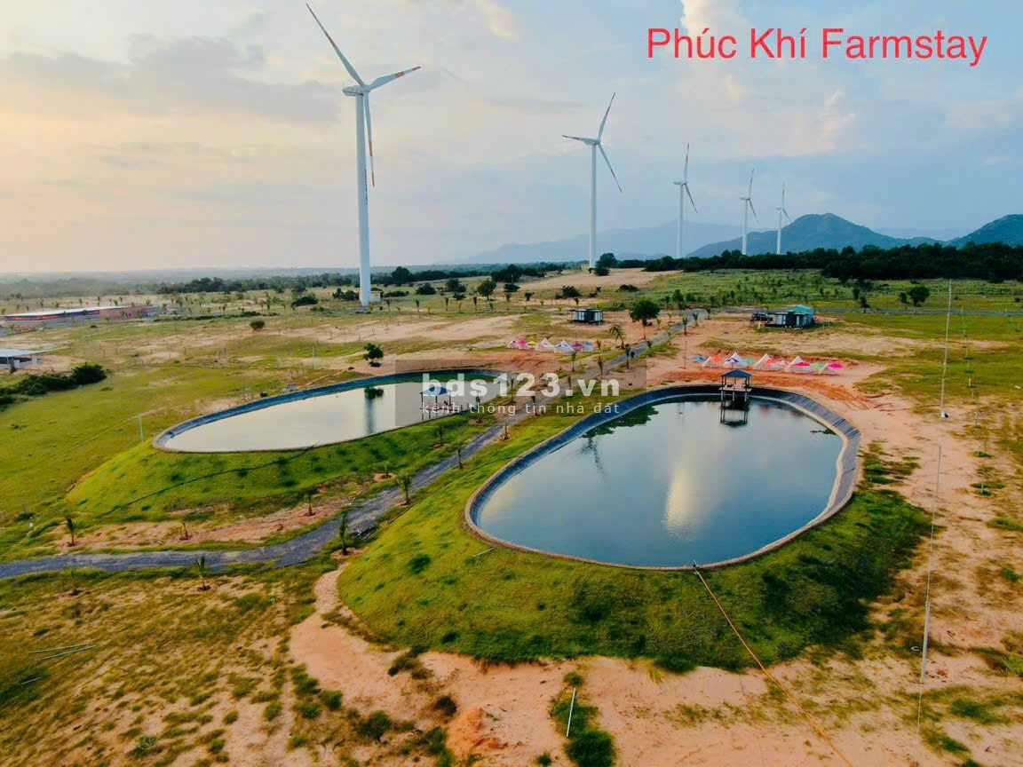 Cần bán 4.454m2 đất trang trại, view biển 100% tại Bình Thuận