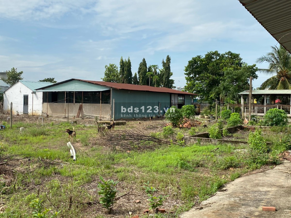 Bán 5.009m² đất sản xuất và xây dựng đường Mỹ Hạnh, Đức Hòa, Long An