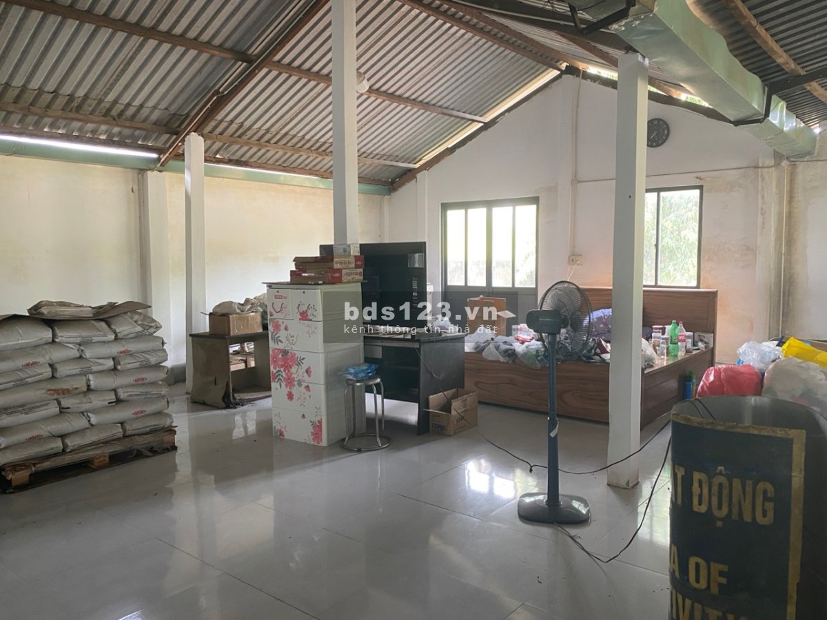 Bán 5.009m² đất sản xuất và xây dựng đường Mỹ Hạnh, Đức Hòa, Long An