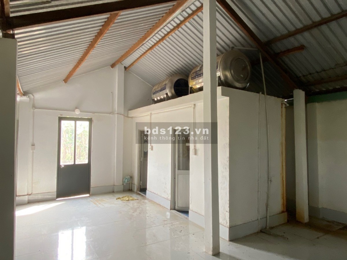Bán 5.009m² đất sản xuất và xây dựng đường Mỹ Hạnh, Đức Hòa, Long An
