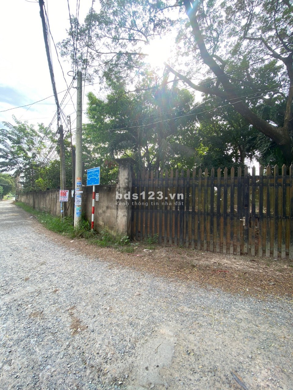 Bán 5.009m² đất sản xuất và xây dựng đường Mỹ Hạnh, Đức Hòa, Long An
