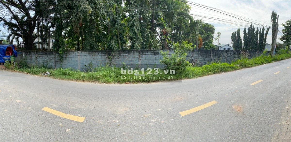 Bán 5.009m² đất sản xuất và xây dựng đường Mỹ Hạnh, Đức Hòa, Long An