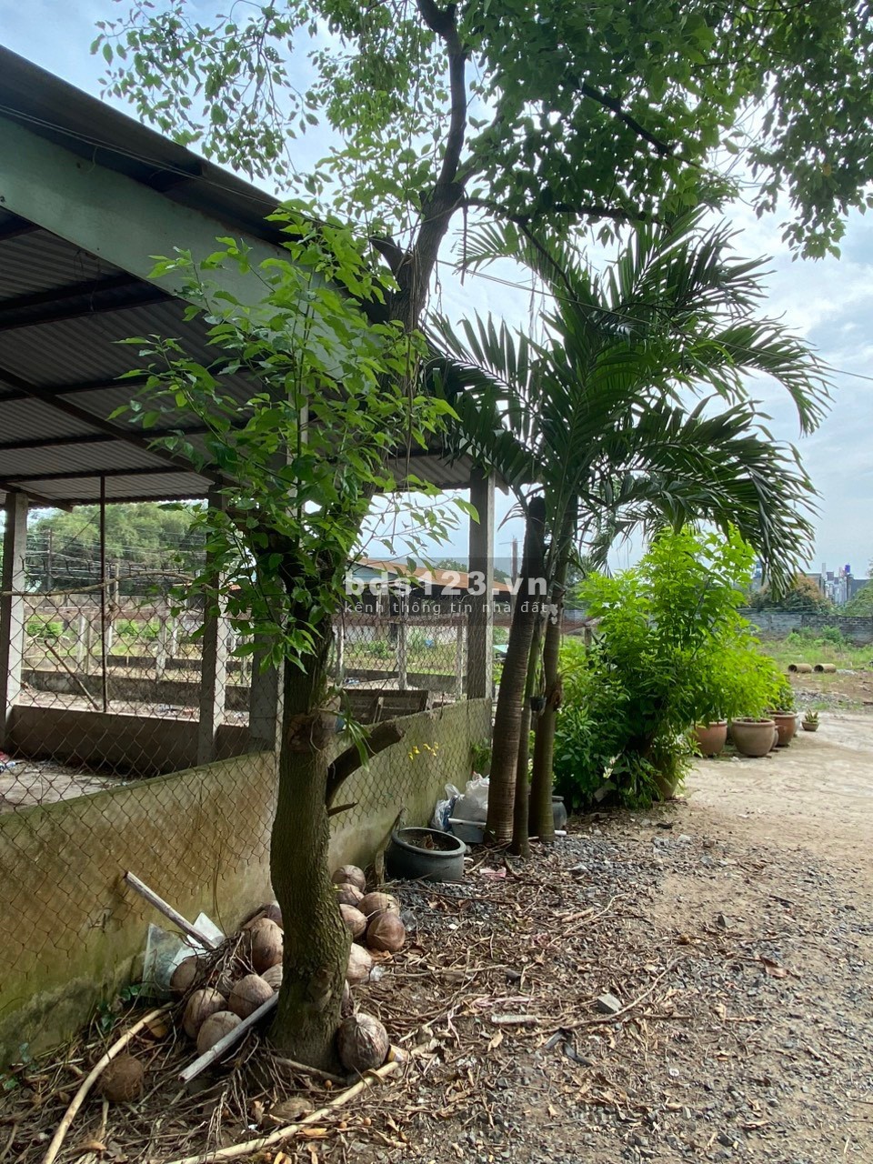 Bán 5.009m² đất sản xuất và xây dựng đường Mỹ Hạnh, Đức Hòa, Long An