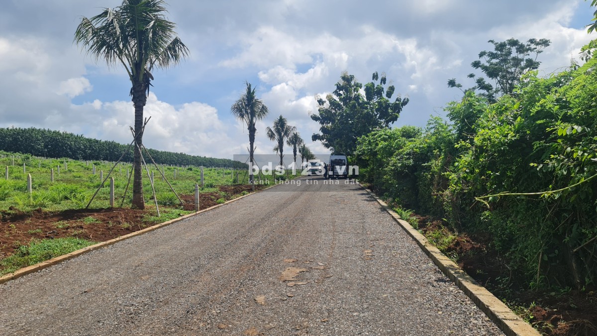 Bán đất vườn ngay mt quốc lộ 20 gần hồ Trị An giá rẻ đầu tư, sổ hồng riêng, có ngân hàng hỗ trợ vay