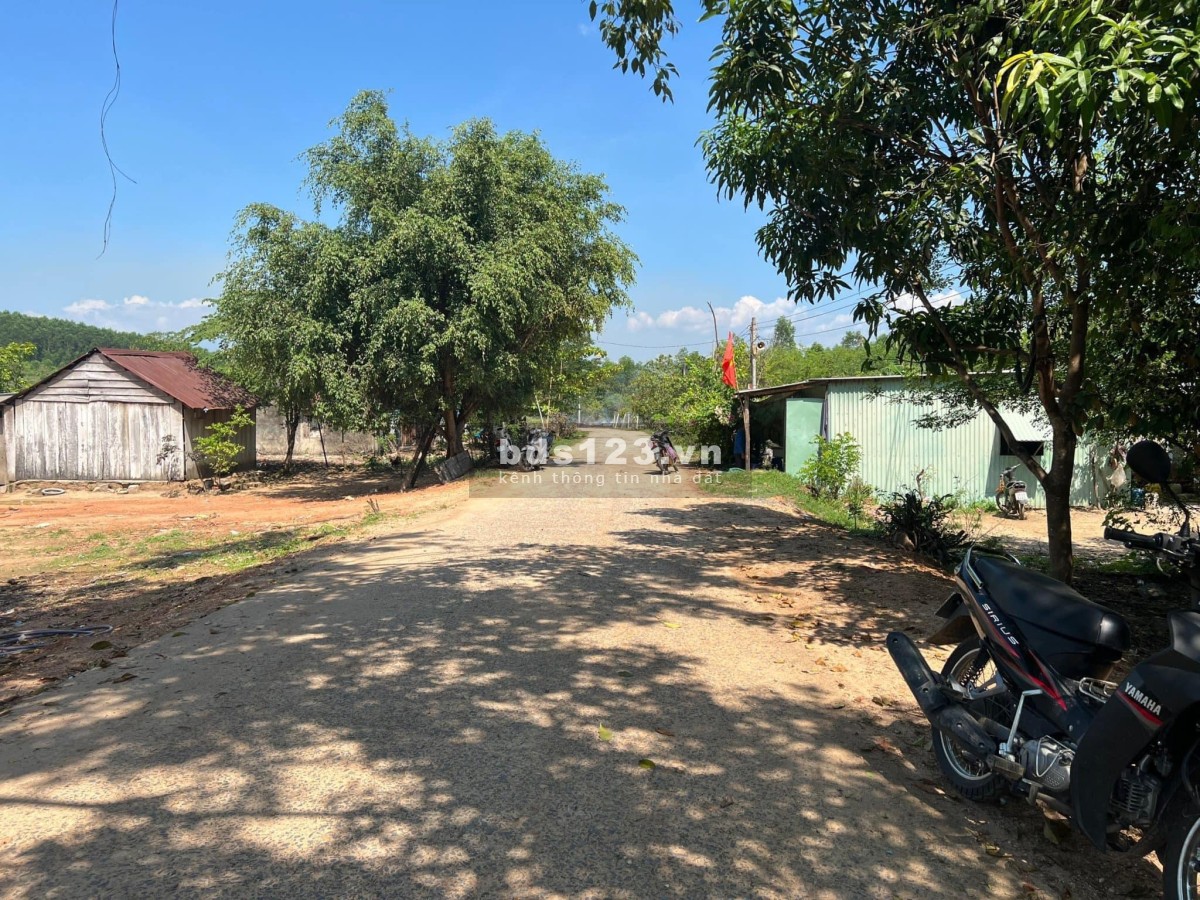 Đất Khánh Đông Mặt Tiền Đường Nhựa- Sổ Hồng Trao Tay