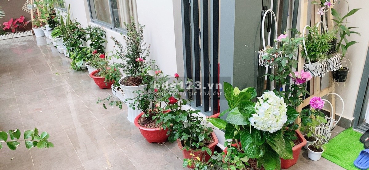 Chính chủ cần bán gấp căn hộ sân vườn Akari City